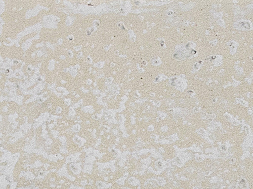 ELEMENTI TCW-Cream White 象牙白 GFRC finish
